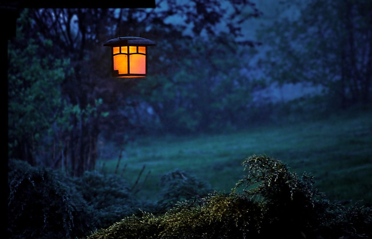 Ogród nocny – stwórz odpowiednią aurę w obejściu na wieczorne spacery
