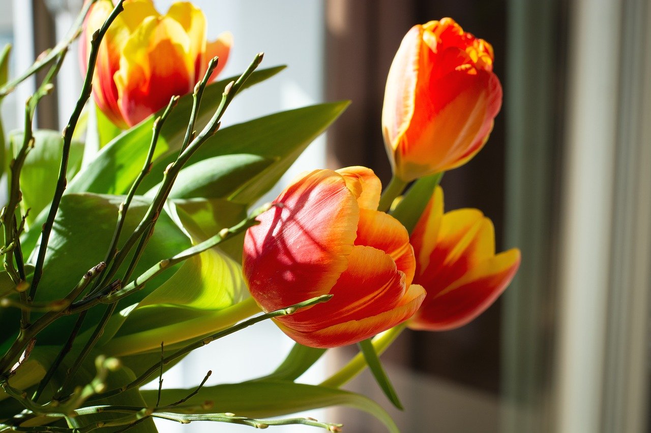 Jakiego typu sztuczne kwiaty upiększą przestrzeń naszego domu?